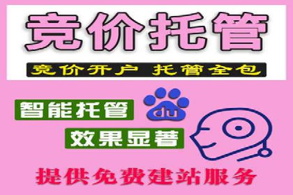 SEM代理助力品牌：案例解析与优化策略